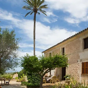https://es-pla-de-llodra.balearic-islands.net